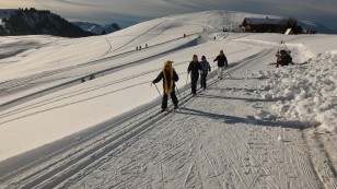 Tour du plateau en ski de fond , au soleil de Beauregard